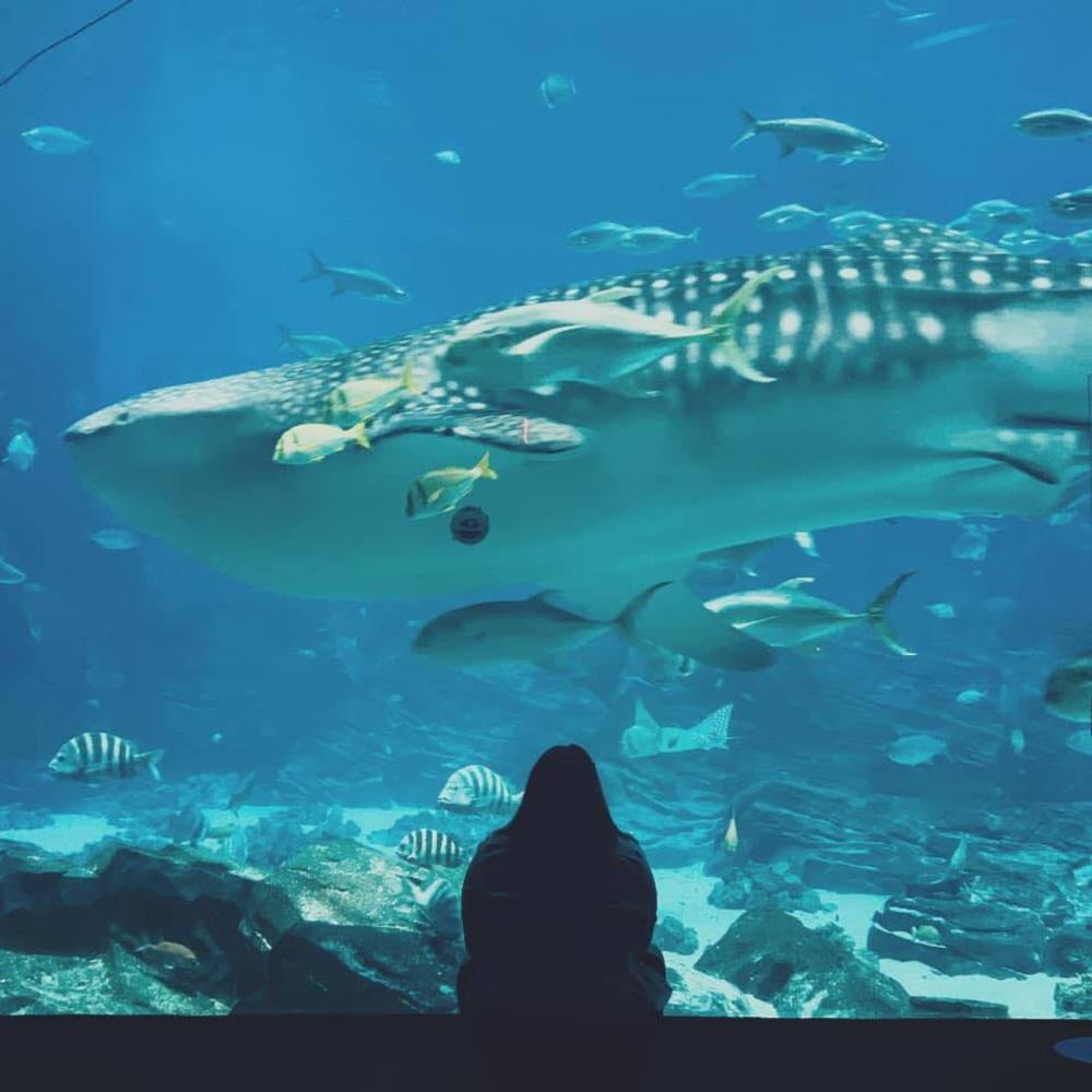 Meet your Posher, Lynn